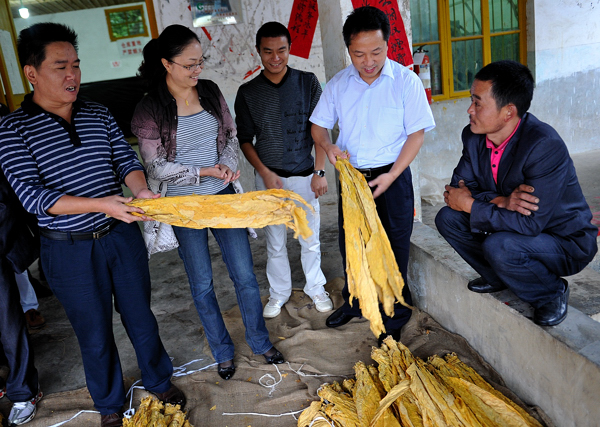 全县烟叶收购开秤