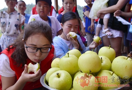 宣恩首届黄金梨采摘节圆满结束