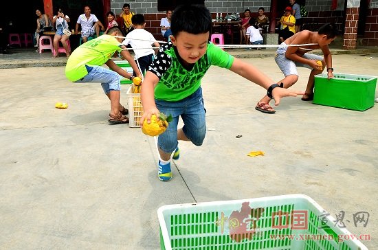 宣恩首届黄金梨采摘节圆满结束