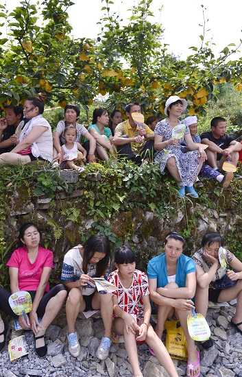 宣恩首届黄金梨采摘节圆满结束