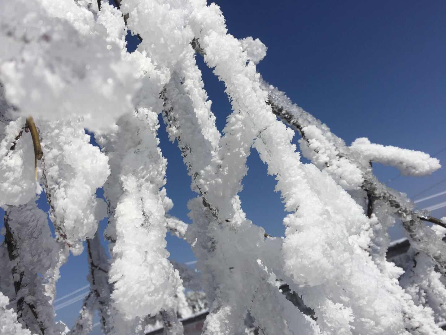 漱冰濯雪李颖.jpg