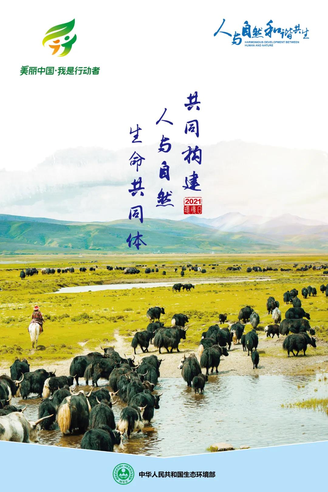 微信图片_20210621170503.jpg